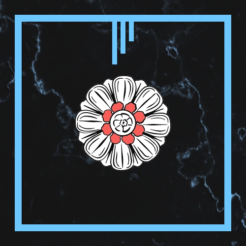 NEW WEBSITE